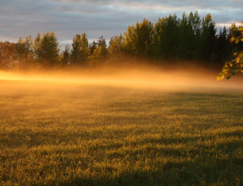 Mistä voi tietää tarvitseeko sisäistä parantumista?